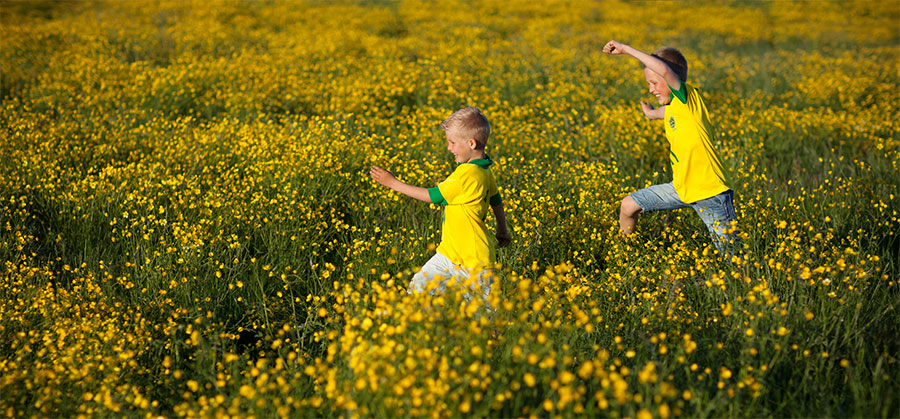 On yellow field